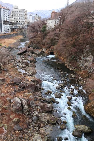 日本東京藝文之旅第三天(鬼怒川飄雪)(2024.03.08)