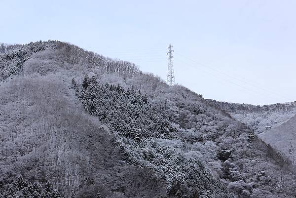 日本東京藝文之旅第三天(鬼怒川飄雪)(2024.03.08)