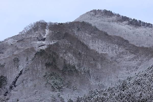 日本東京藝文之旅第三天(鬼怒川飄雪)(2024.03.08)