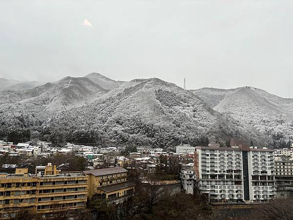 日本東京藝文之旅第三天(鬼怒川飄雪)(2024.03.08)