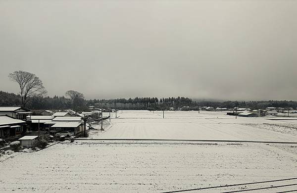 日本東京藝文之旅第三天(鬼怒川飄雪)(2024.03.08)