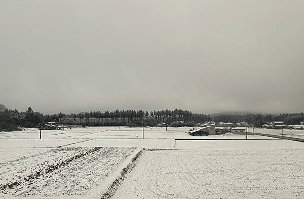 日本東京藝文之旅第三天(鬼怒川飄雪)(2024.03.08)