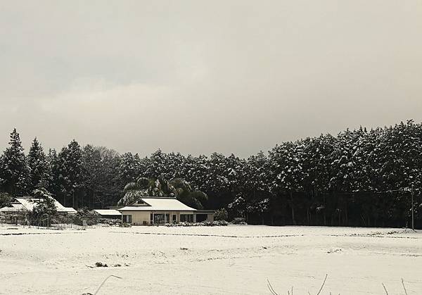 日本東京藝文之旅第三天(鬼怒川飄雪)(2024.03.08)