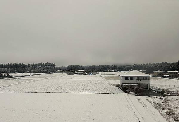 日本東京藝文之旅第三天(鬼怒川飄雪)(2024.03.08)