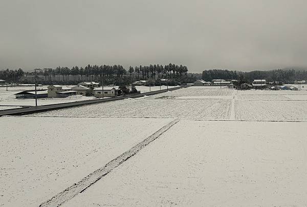 日本東京藝文之旅第三天(鬼怒川飄雪)(2024.03.08)