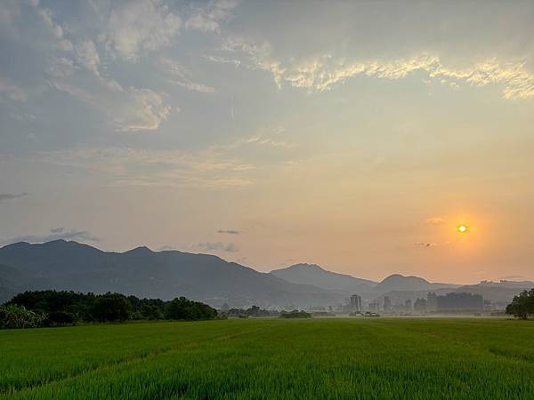 為天地寫日記(關渡平原露珠、晨曦、蜘蛛與蜻蜓、歐亞喜鵲)(2