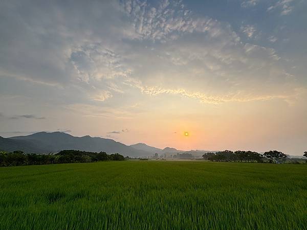 為天地寫日記(關渡平原露珠、晨曦、蜘蛛與蜻蜓、歐亞喜鵲)(2