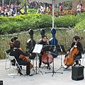 IMG_3539.JPG