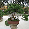IMG_3493.JPG