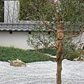 IMG_3603.JPG