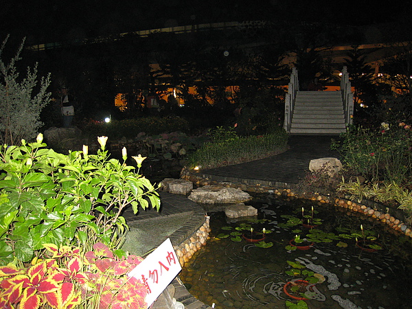 IMG_3415.JPG