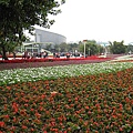 IMG_3286.JPG
