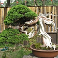 IMG_3489.JPG