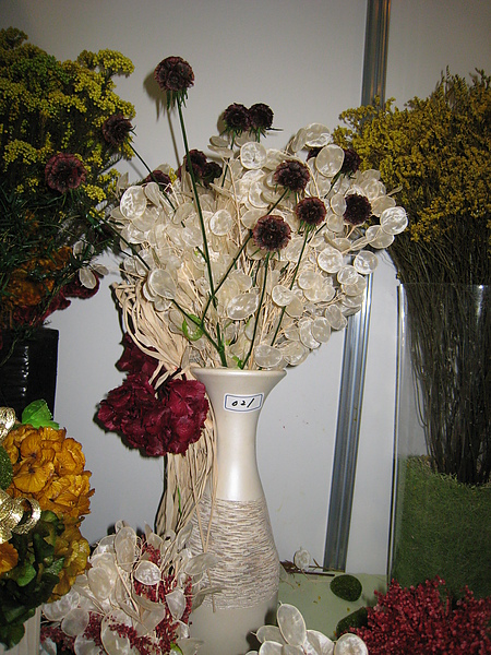 IMG_3338.JPG