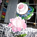 IMG_3392.JPG