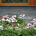 IMG_3192.JPG