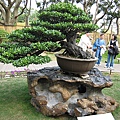 IMG_3495.JPG
