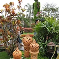 IMG_3611.JPG