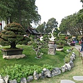 IMG_3485.JPG