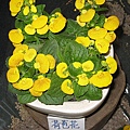IMG_3343.JPG