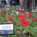 IMG_3359.JPG