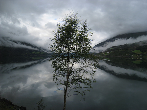 IMG_4145.JPG