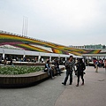 IMG_3309.JPG