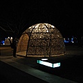 IMG_3445.JPG