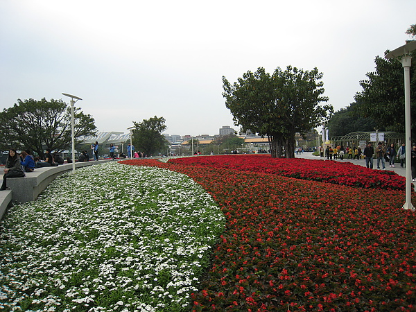 IMG_3288.JPG