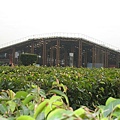 IMG_3504.JPG