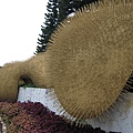 IMG_3467.JPG