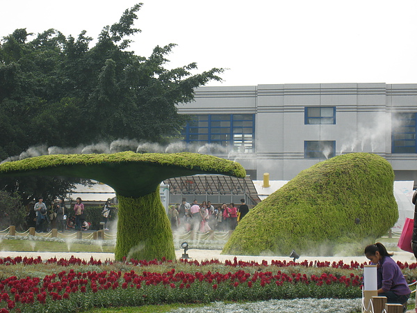 IMG_3525.JPG