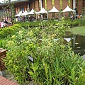 IMG_3244.JPG