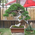 IMG_3479.JPG