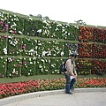IMG_3300.JPG