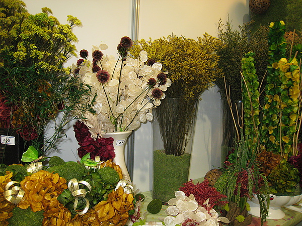 IMG_3337.JPG