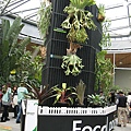 IMG_3154.JPG
