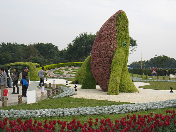 IMG_3517.JPG