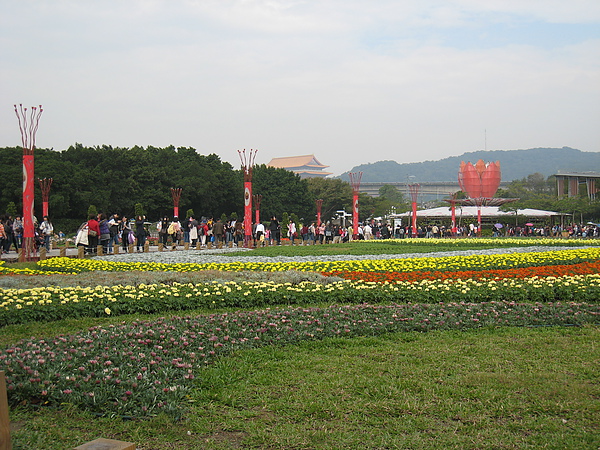IMG_3516.JPG
