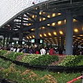 IMG_3372.JPG