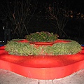 IMG_3406.JPG