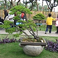 IMG_3478.JPG