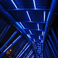 IMG_3437.JPG