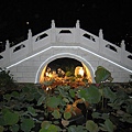 IMG_3416.JPG