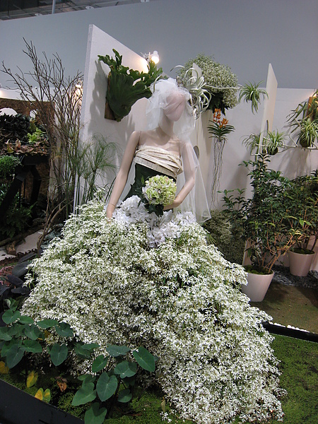 IMG_3320.JPG