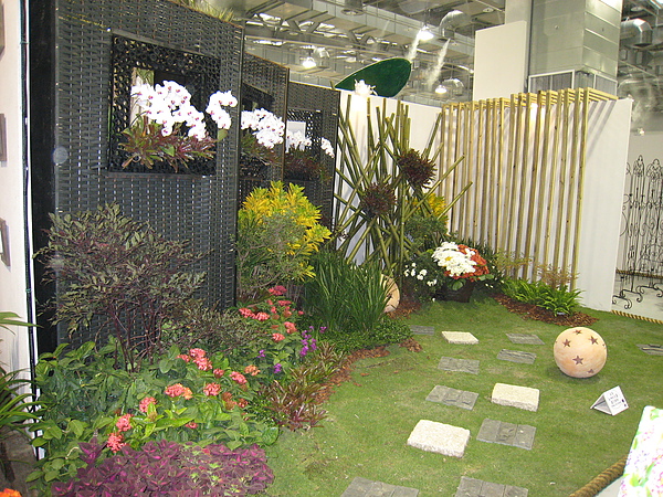 IMG_3325.JPG