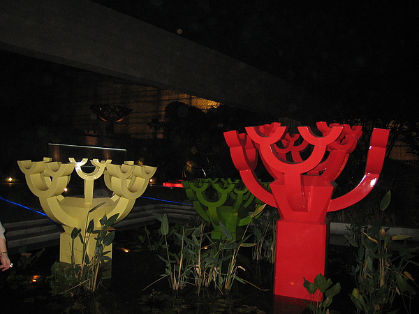 IMG_3407.JPG