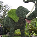 IMG_3615.JPG