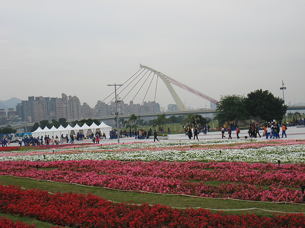 IMG_3266.JPG