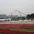IMG_3266.JPG